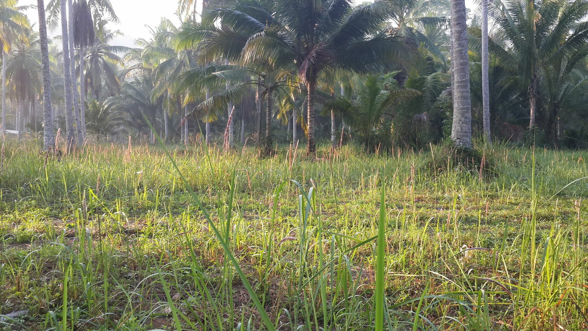 Hotel Baan Phuean Koh Kood Ko Kut Zewnętrze zdjęcie