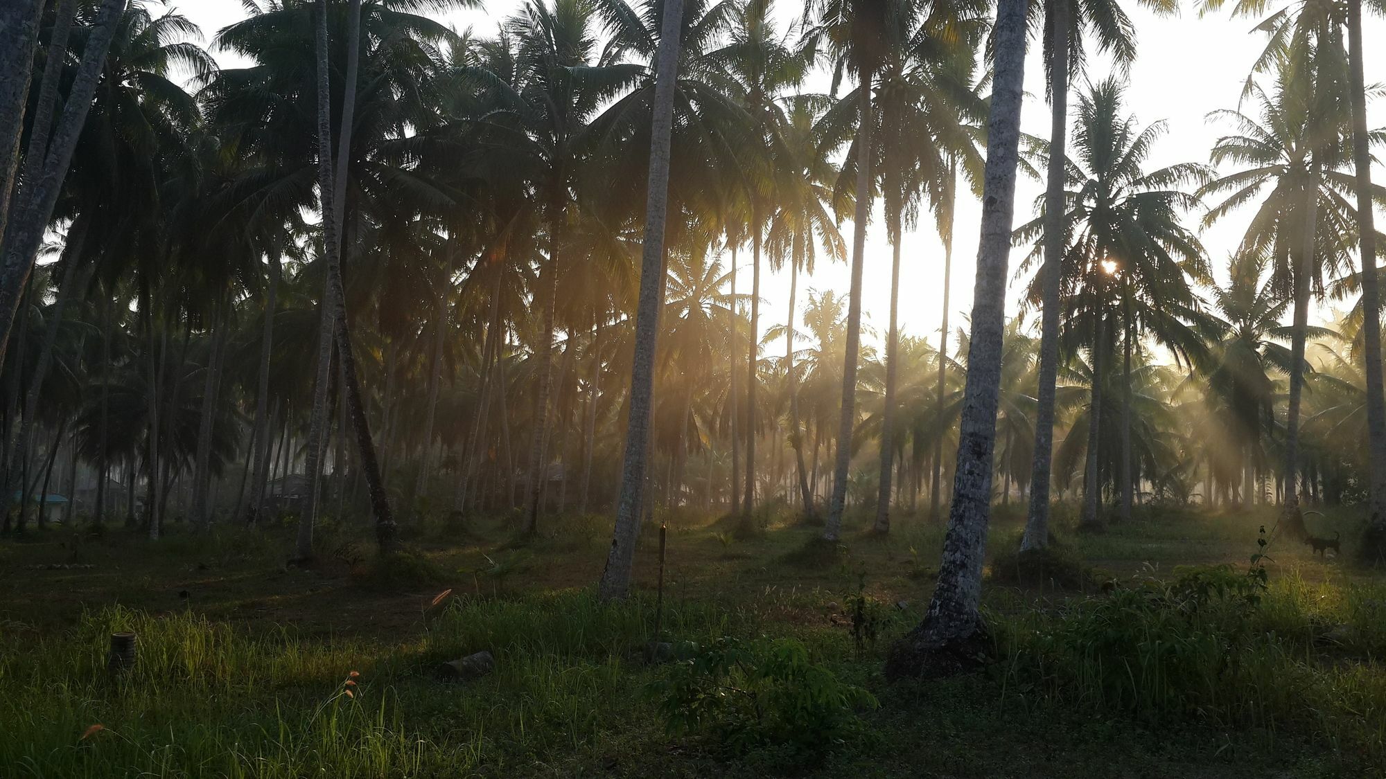 Hotel Baan Phuean Koh Kood Ko Kut Zewnętrze zdjęcie